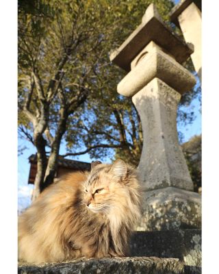 Scéna z půvabného města Onomiči. Jsme sice Tokyo Vintage ale jiná místa a města máme také rádi. Onomiči moc! Foto © Petr...
